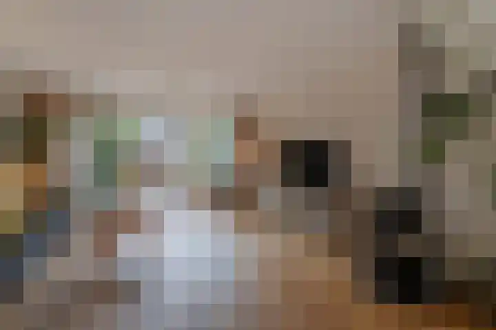 Zwarte Sternhof 15 Delft thumbnail 9