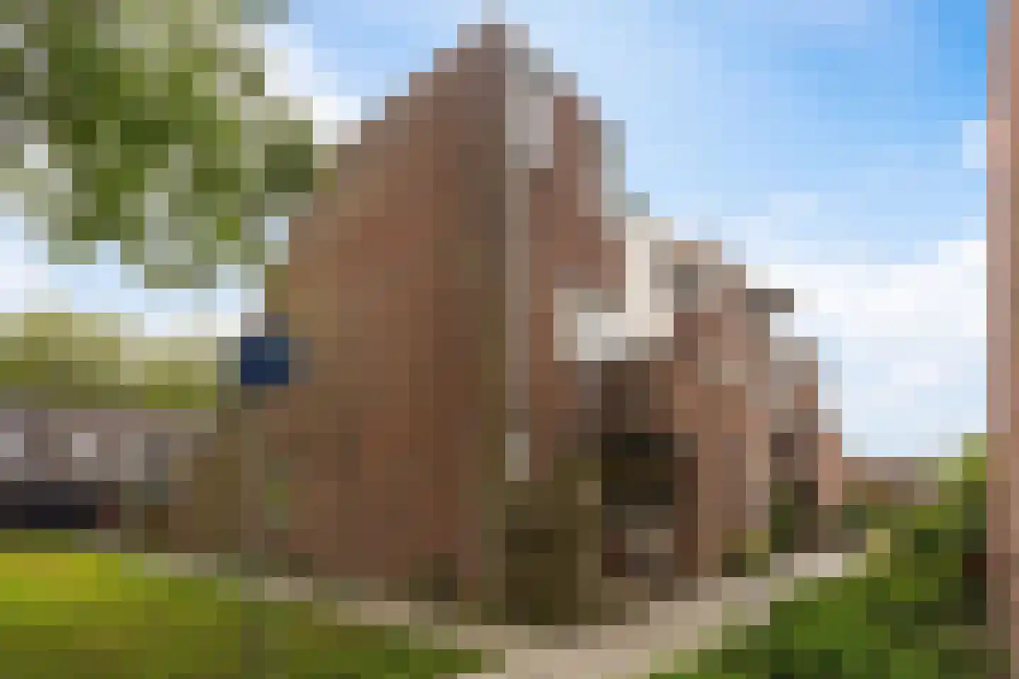 Zwarte Sternhof 6 Delft