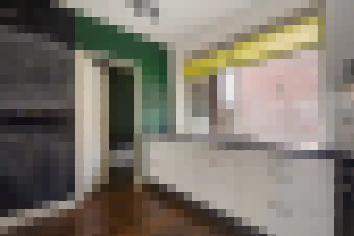 Zwarte Sternhof 6 Delft thumbnail 15
