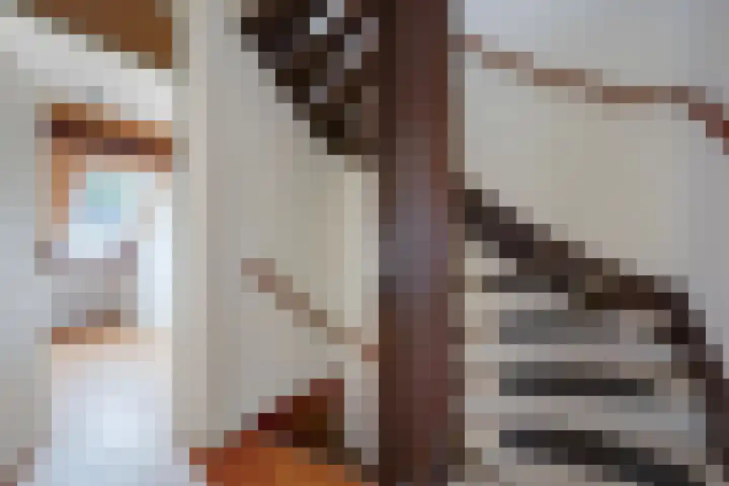 Zwarte Sternhof 6 Delft thumbnail 18