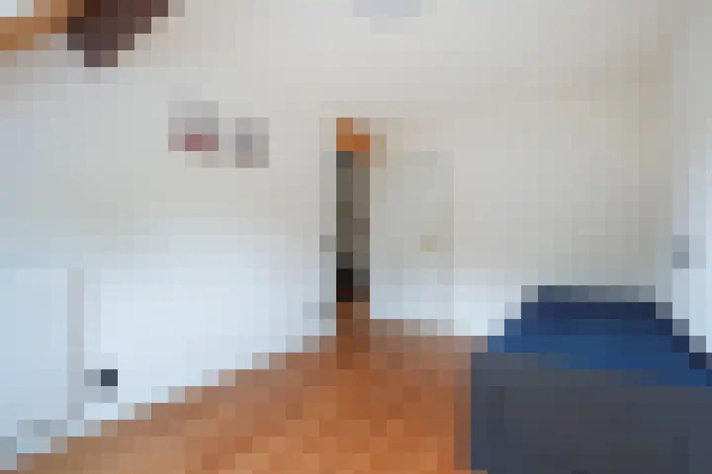 Zwarte Sternhof 6 Delft thumbnail 20