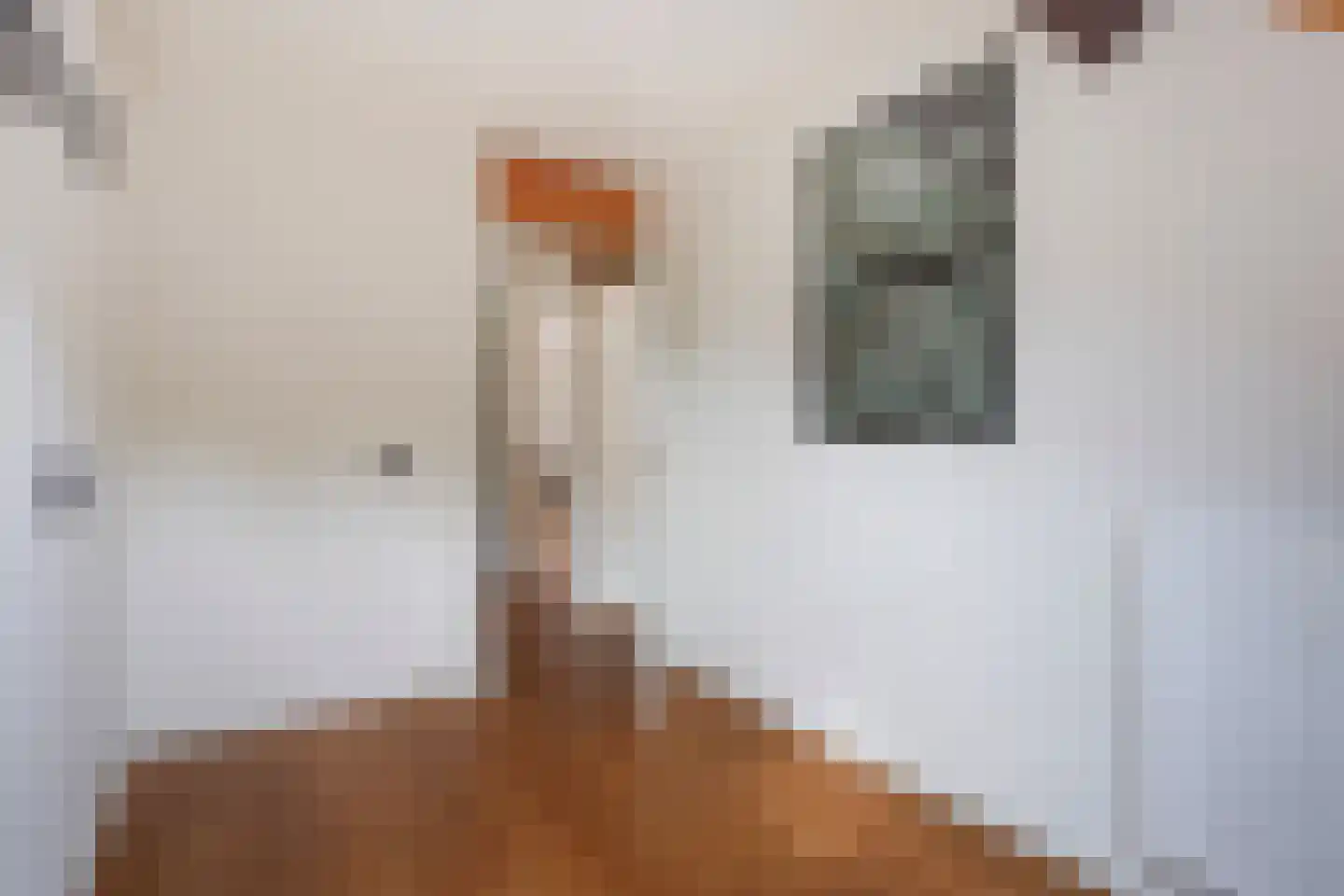 Zwarte Sternhof 6 Delft thumbnail 22
