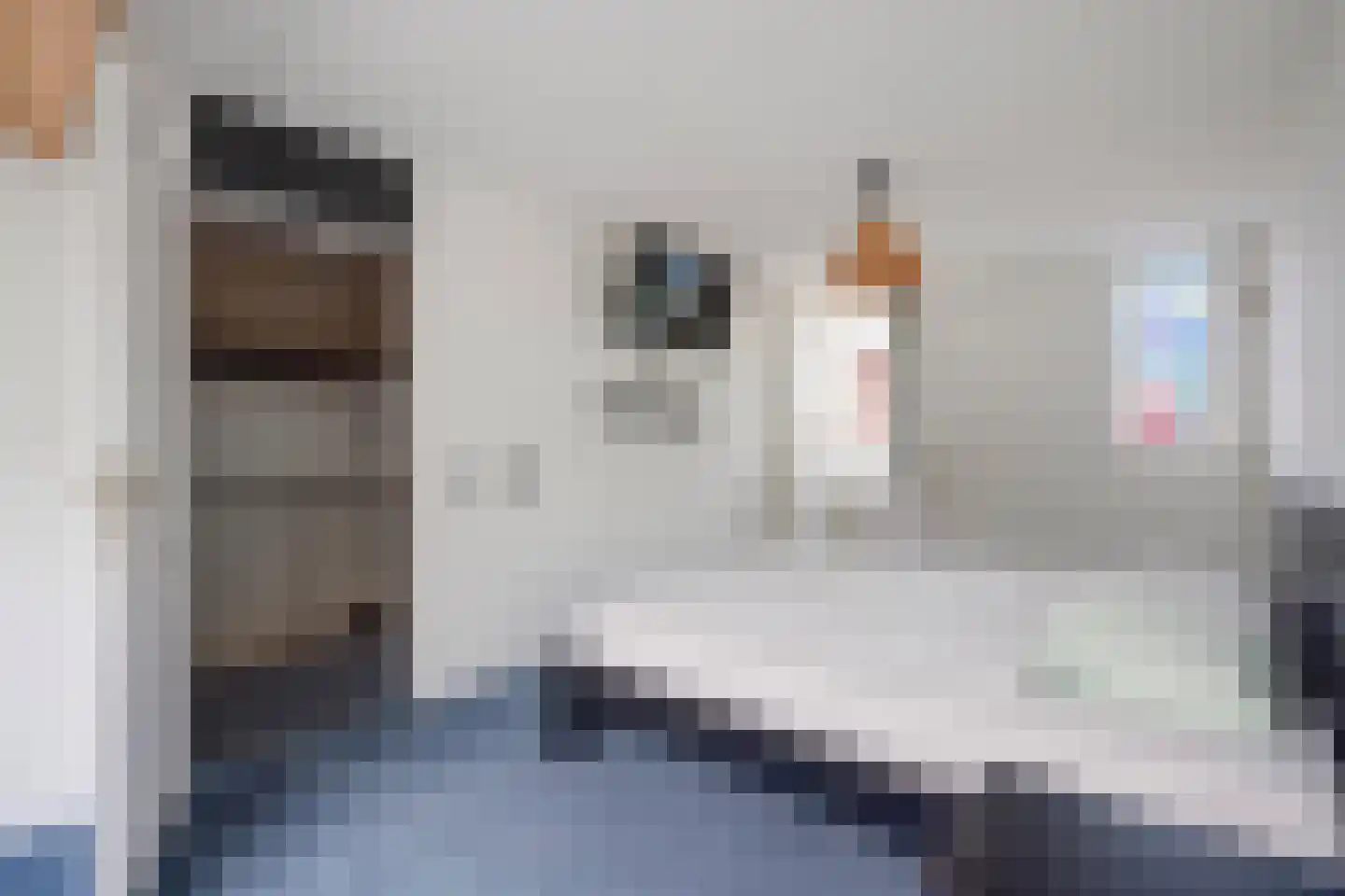 Zwarte Sternhof 6 Delft thumbnail 33