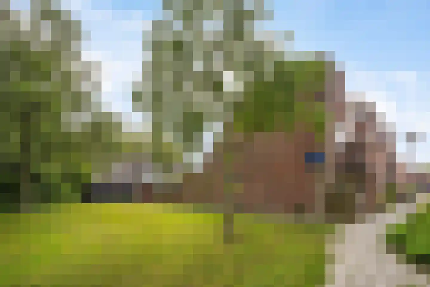 Zwarte Sternhof 6 Delft thumbnail 36