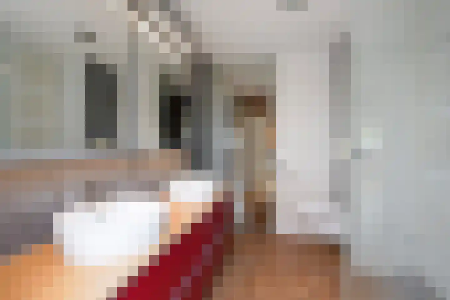 Zwarte Sternhof 6 Delft thumbnail 4