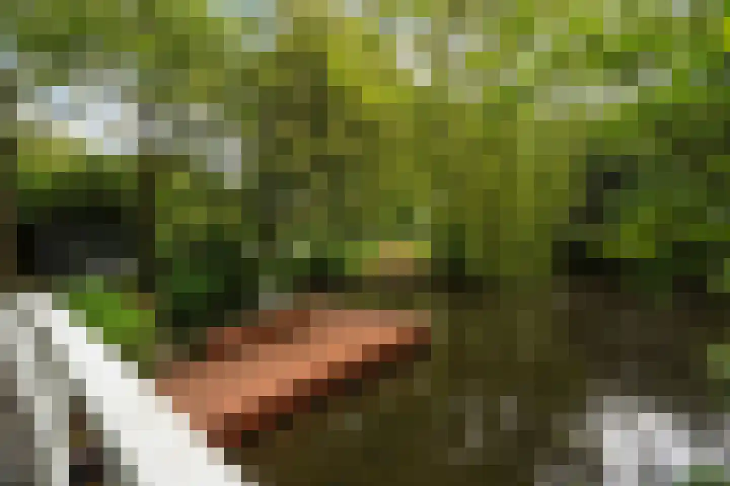 Zwarte Sternhof 6 Delft thumbnail 5