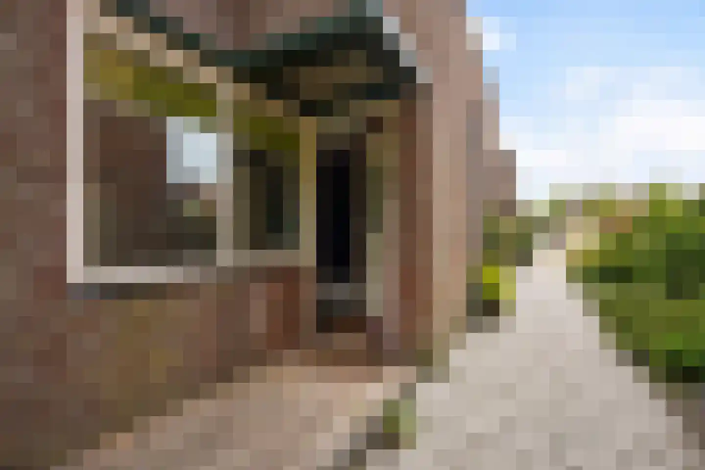 Zwarte Sternhof 6 Delft thumbnail 6