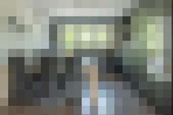 Zwarte Weg 10 Vegelinsoord thumbnail 10