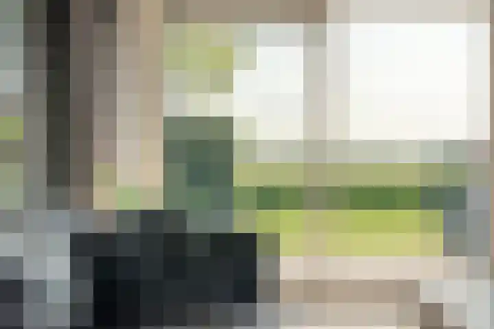 Zwarte Weg 10 Vegelinsoord thumbnail 14