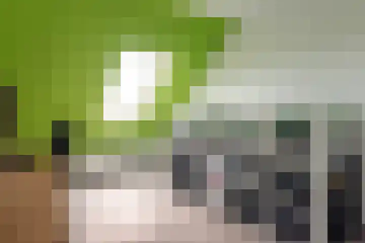 Zwarte Weg 10 Vegelinsoord thumbnail 18
