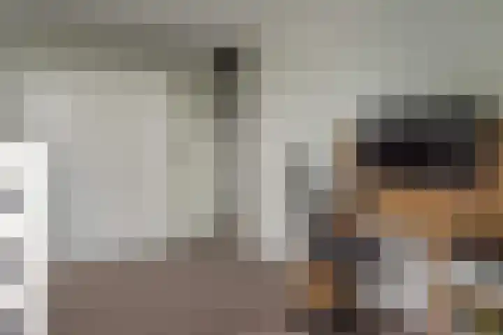 Zwarte Weg 10 Vegelinsoord thumbnail 19