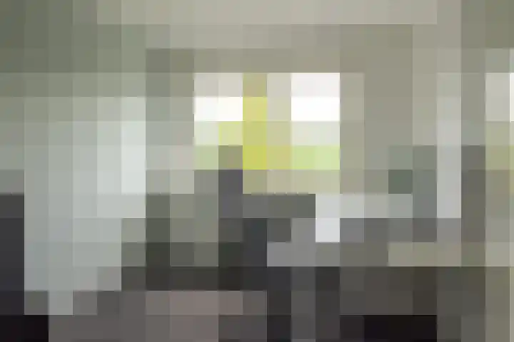 Zwarte Weg 10 Vegelinsoord thumbnail 20