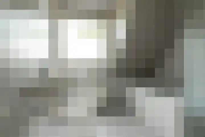 Zwarte Weg 10 Vegelinsoord thumbnail 21