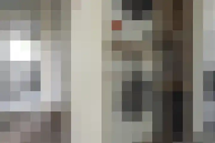 Zwarte Weg 10 Vegelinsoord thumbnail 25