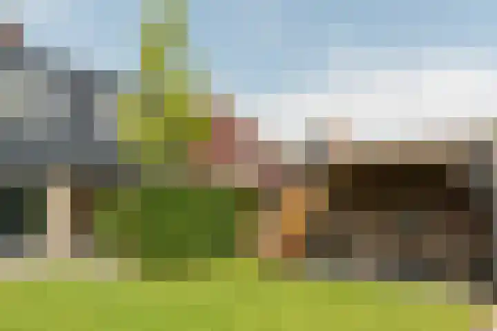 Zwarte Weg 10 Vegelinsoord thumbnail 29