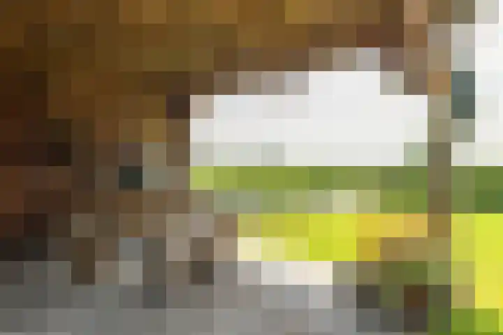 Zwarte Weg 10 Vegelinsoord thumbnail 30