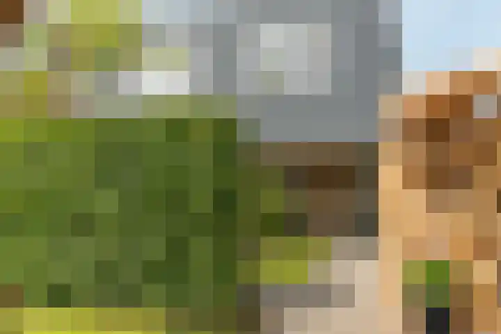 Zwarte Weg 10 Vegelinsoord thumbnail 31