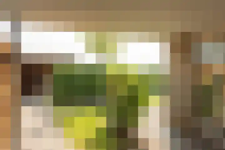 Zwarte Weg 10 Vegelinsoord thumbnail 33