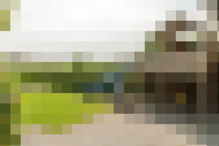 Zwarte Weg 10 Vegelinsoord thumbnail 34