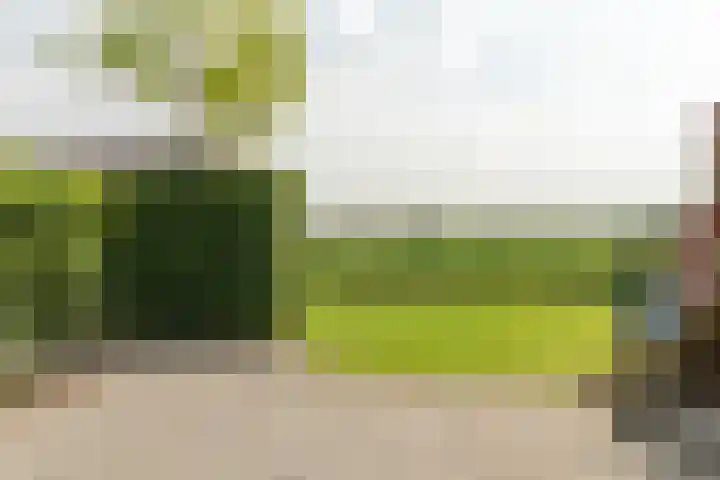 Zwarte Weg 10 Vegelinsoord thumbnail 35