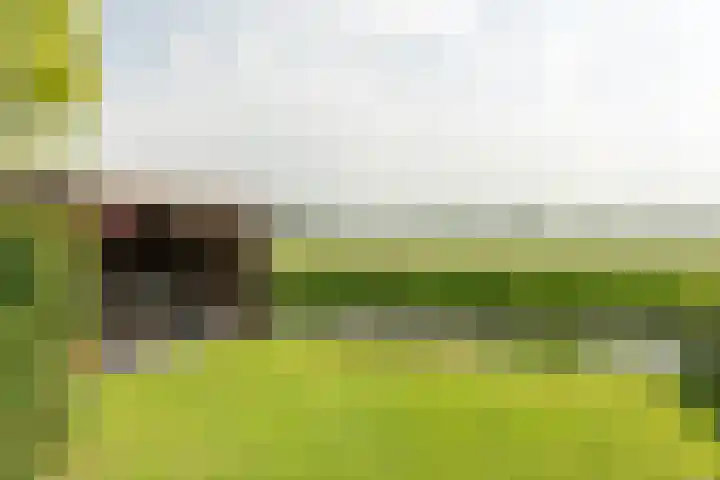 Zwarte Weg 10 Vegelinsoord thumbnail 36