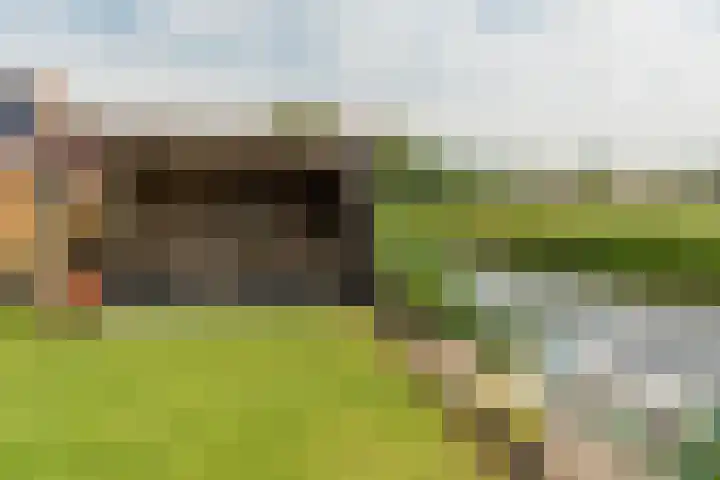 Zwarte Weg 10 Vegelinsoord thumbnail 37