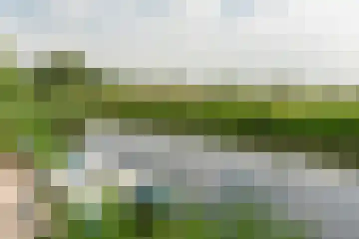 Zwarte Weg 10 Vegelinsoord thumbnail 38