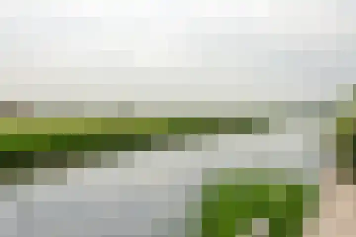 Zwarte Weg 10 Vegelinsoord thumbnail 39