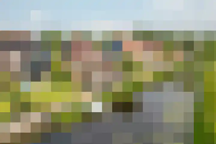 Zwarte Weg 10 Vegelinsoord thumbnail 40