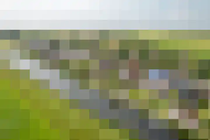 Zwarte Weg 10 Vegelinsoord thumbnail 41
