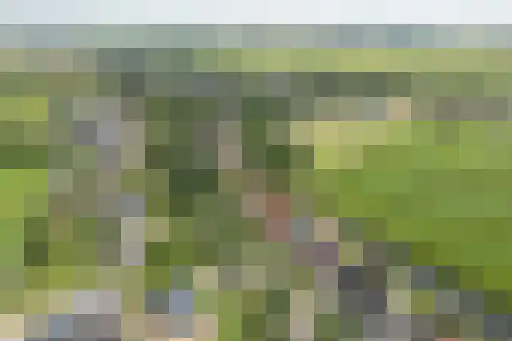 Zwarte Weg 10 Vegelinsoord thumbnail 42