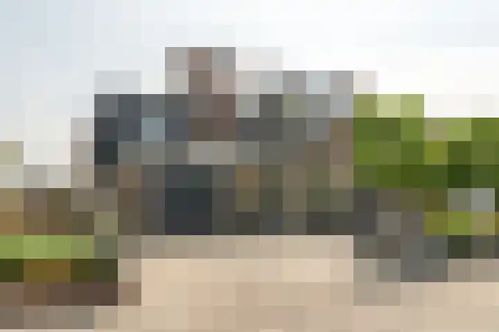 Zwarte Weg 10 Vegelinsoord thumbnail 45