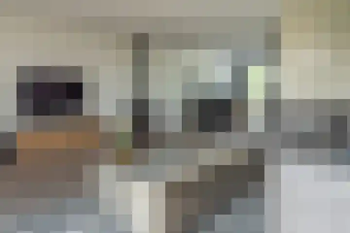Zwarte Weg 10 Vegelinsoord thumbnail 8