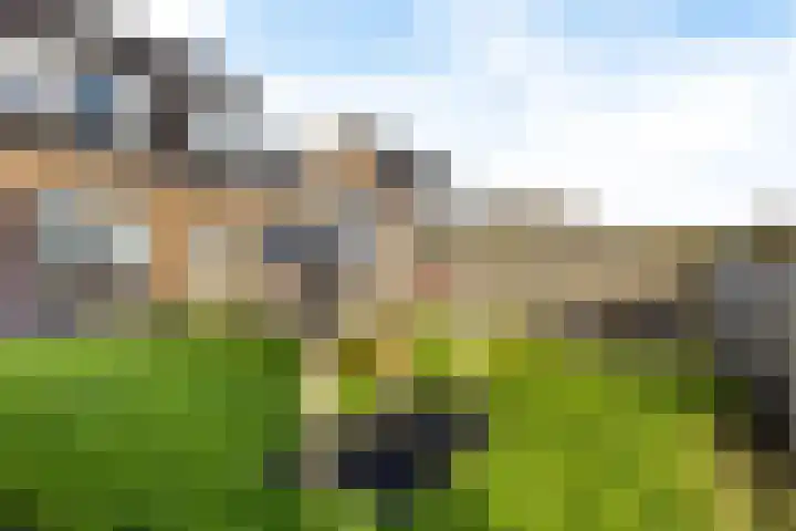 Zwarte Weg 2 H Vegelinsoord thumbnail 28
