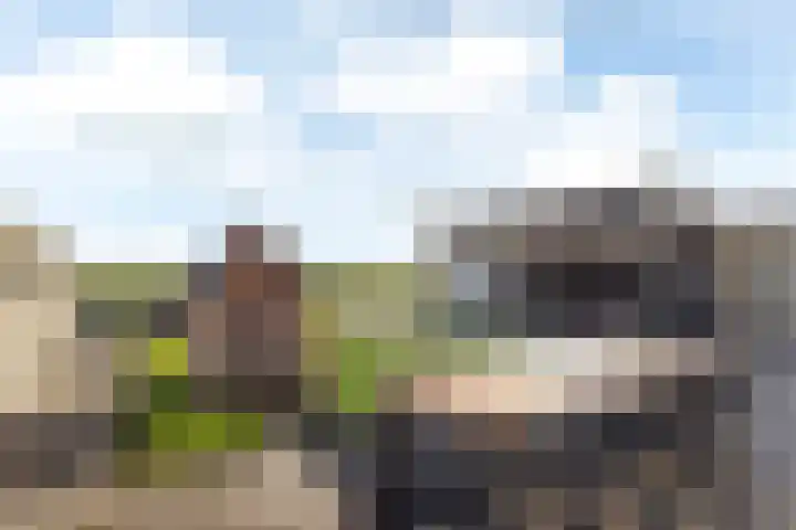 Zwarte Weg 2 H Vegelinsoord thumbnail 30