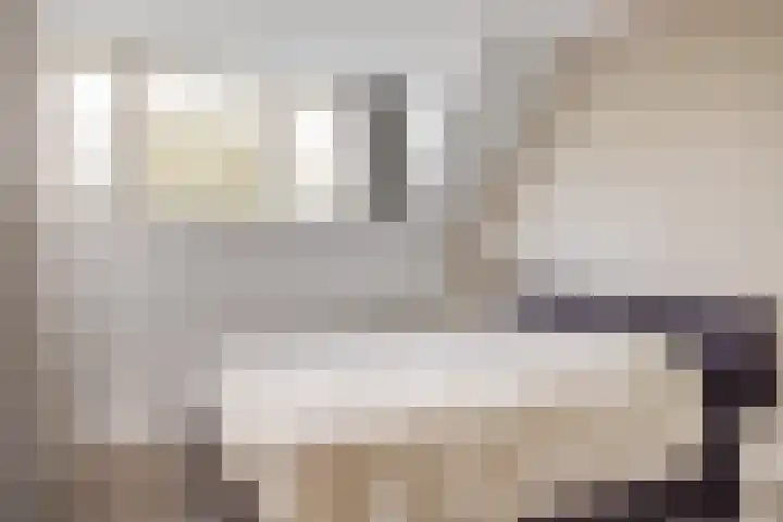 Zwarte Weg 2 H Vegelinsoord thumbnail 34