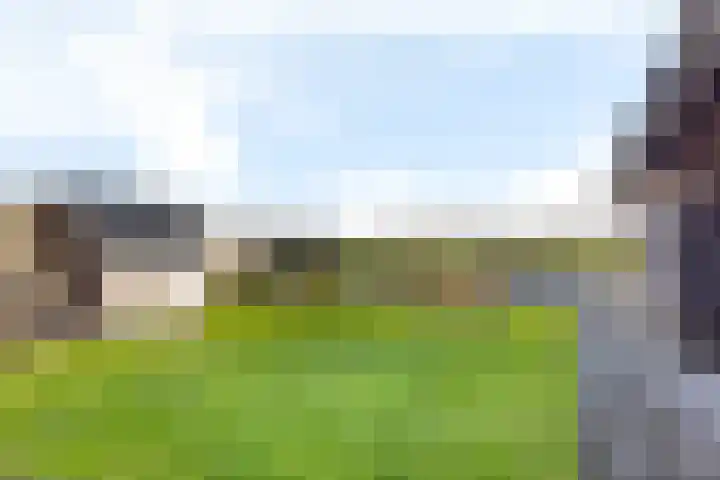 Zwarte Weg 2 H Vegelinsoord thumbnail 4