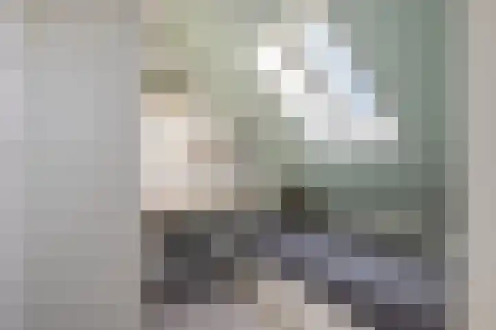 Zwarte Weg 2 H Vegelinsoord thumbnail 40