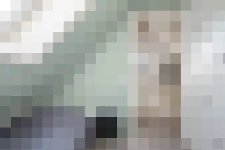 Zwarte Weg 2 H Vegelinsoord thumbnail 42