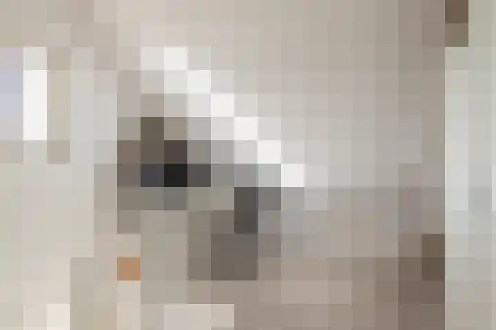 Zwarte Weg 2 H Vegelinsoord thumbnail 44