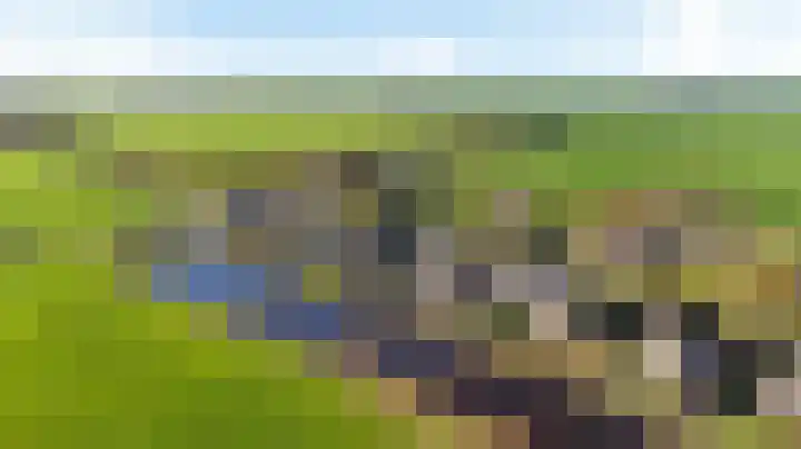 Zwarte Weg 2 H Vegelinsoord thumbnail 50