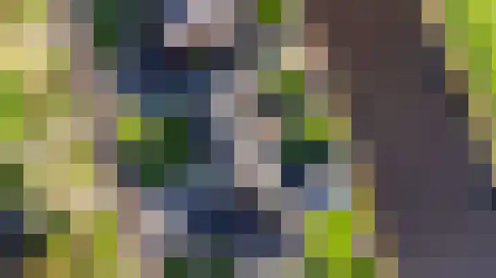 Zwarte Weg 2 H Vegelinsoord thumbnail 51