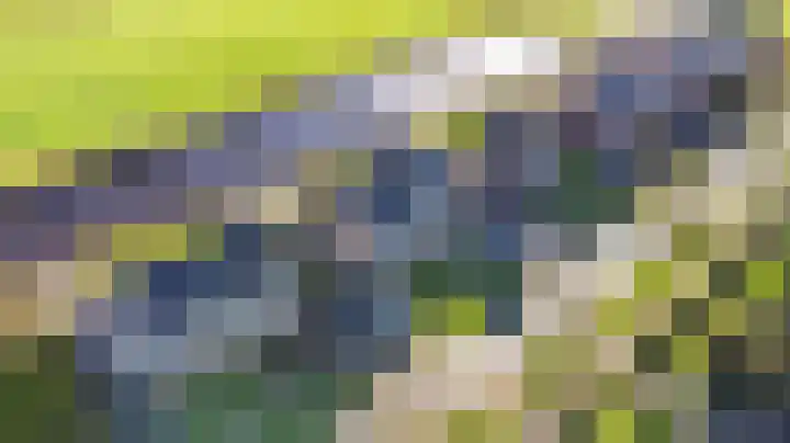 Zwarte Weg 2 H Vegelinsoord thumbnail 52