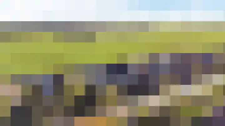 Zwarte Weg 2 H Vegelinsoord thumbnail 56