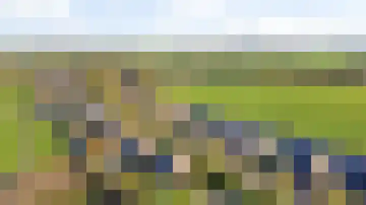 Zwarte Weg 2 H Vegelinsoord thumbnail 57