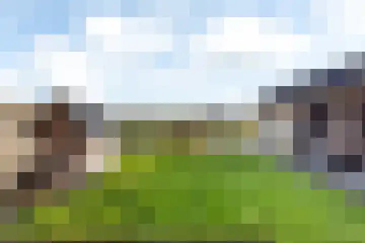 Zwarte Weg 2 H Vegelinsoord thumbnail 58