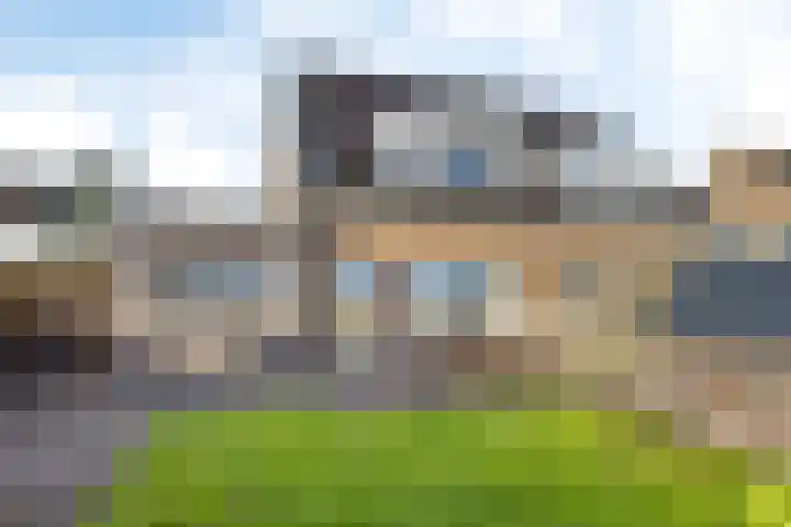 Zwarte Weg 2 H Vegelinsoord thumbnail 6