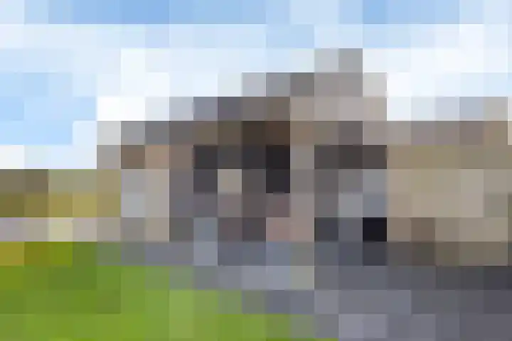 Zwarte Weg 2 H Vegelinsoord thumbnail 7