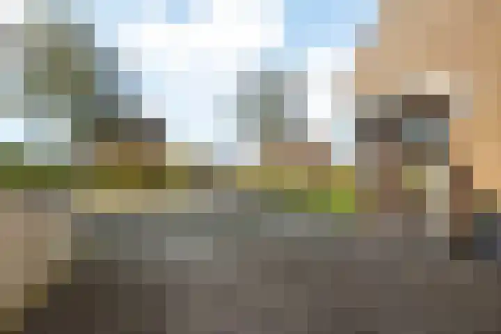 Zwarte Weg 2 H Vegelinsoord thumbnail 8