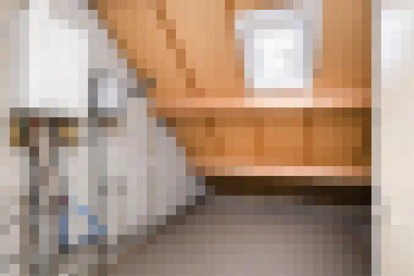 Zwarte Weg 24 Vegelinsoord thumbnail 12